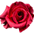 Crimson