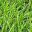 grassh0le