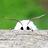 mothbromothbro