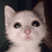 sippy_the_kot